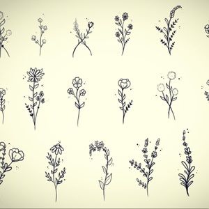 Meet your Posher, Maci